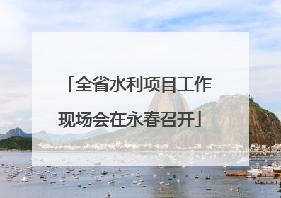 全省水利项目工作现场会在永春召开