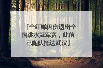 全红婵因伤退出全国跳水冠军赛，此前已随队抵达武汉