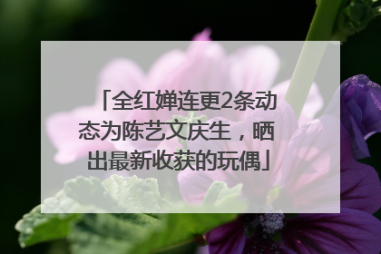 全红婵连更2条动态为陈艺文庆生，晒出最新收获的玩偶