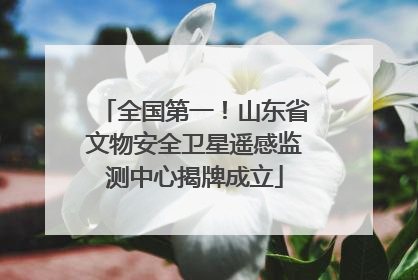 全国第一！山东省文物安全卫星遥感监测中心揭牌成立