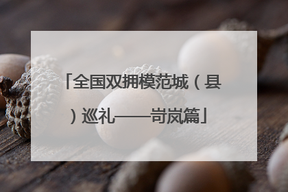全国双拥模范城（县）巡礼——岢岚篇