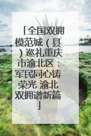 全国双拥模范城（县）巡礼重庆市渝北区：军民同心铸荣光 渝北双拥谱新篇
