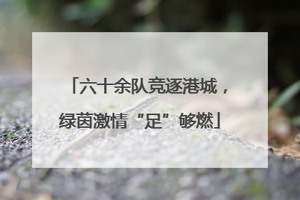 六十余队竞逐港城，绿茵激情“足”够燃