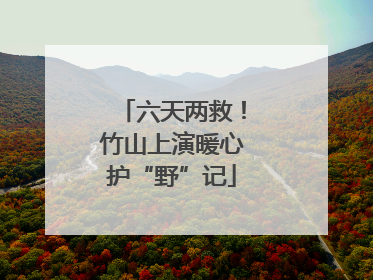 六天两救！竹山上演暖心护“野”记