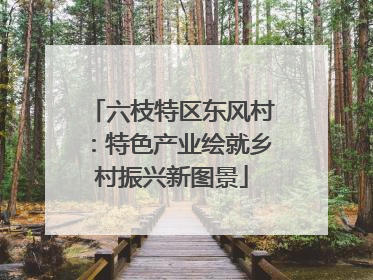 六枝特区东风村：特色产业绘就乡村振兴新图景