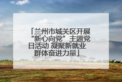 兰州市城关区开展“新心向党”主题党日活动 凝聚新就业群体奋进力量
