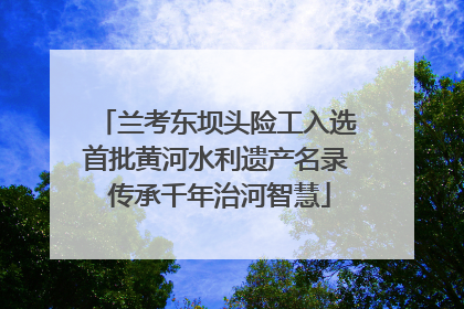 兰考东坝头险工入选首批黄河水利遗产名录 传承千年治河智慧