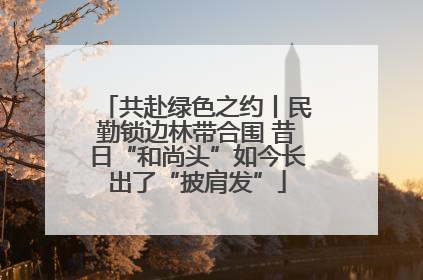 共赴绿色之约丨民勤锁边林带合围 昔日“和尚头”如今长出了“披肩发”