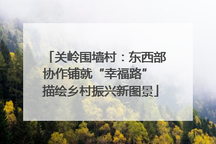 关岭围墙村：东西部协作铺就“幸福路” 描绘乡村振兴新图景