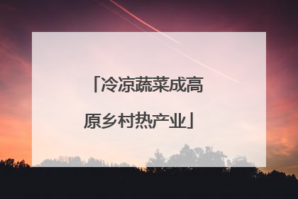 冷凉蔬菜成高原乡村热产业
