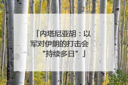 内塔尼亚胡：以军对伊朗的打击会“持续多日”