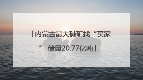 内蒙古最大碱矿找“买家” 储量20.77亿吨