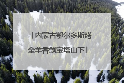 内蒙古鄂尔多斯烤全羊香飘宝塔山下