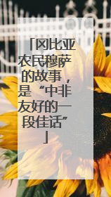 冈比亚农民穆萨的故事，是“中非友好的一段佳话”