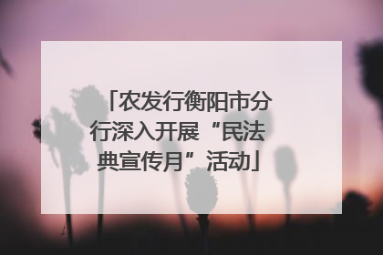 农发行衡阳市分行深入开展“民法典宣传月”活动