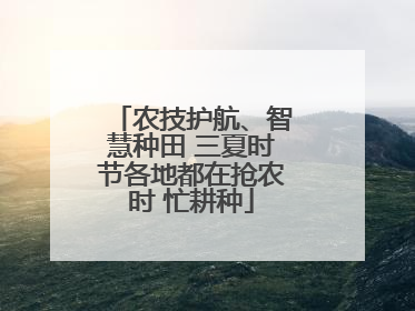 农技护航、智慧种田 三夏时节各地都在抢农时 忙耕种