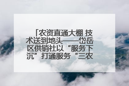 农资直通大棚 技术送到地头——岱岳区供销社以“服务下沉”打通服务“三农”最后一公里