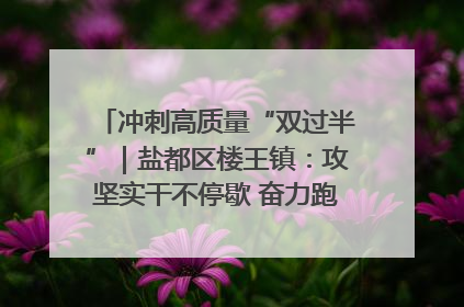冲刺高质量“双过半”｜盐都区楼王镇：攻坚实干不停歇 奋力跑赢“上半场”