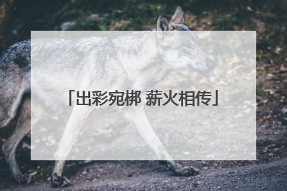 出彩宛梆 薪火相传