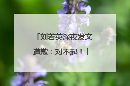 刘若英深夜发文道歉：对不起！