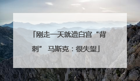 刚走一天就遭白宫“背刺” 马斯克：很失望