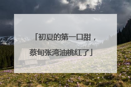 初夏的第一口甜，蔡甸张湾油桃红了