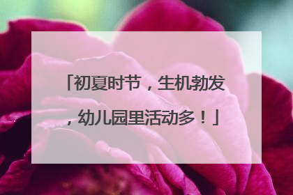初夏时节，生机勃发，幼儿园里活动多！