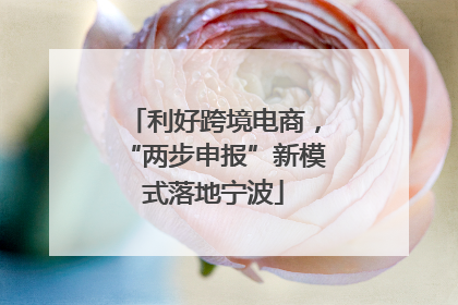 利好跨境电商，“两步申报”新模式落地宁波