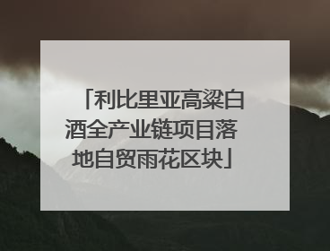 利比里亚高粱白酒全产业链项目落地自贸雨花区块