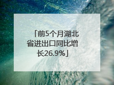 前5个月湖北省进出口同比增长26.9%