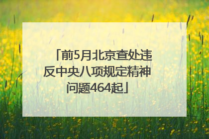前5月北京查处违反中央八项规定精神问题464起