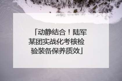 动静结合！陆军某团实战化考核检验装备保养质效
