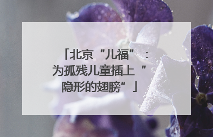 北京“儿福”：为孤残儿童插上“隐形的翅膀”