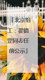 北京组工：翟德罡同志任前公示
