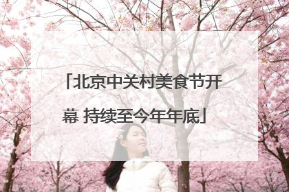 北京中关村美食节开幕 持续至今年年底