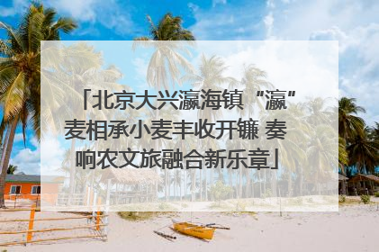 北京大兴瀛海镇“瀛”麦相承小麦丰收开镰 奏响农文旅融合新乐章