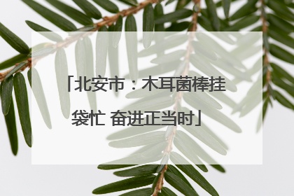北安市：木耳菌棒挂袋忙 奋进正当时