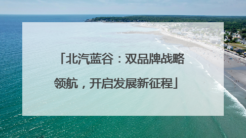 北汽蓝谷：双品牌战略领航，开启发展新征程