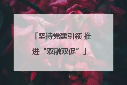 坚持党建引领 推进“双融双促”