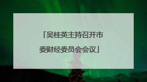 吴桂英主持召开市委财经委员会会议