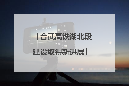 合武高铁湖北段建设取得新进展
