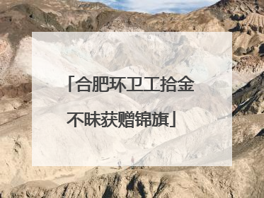 合肥环卫工拾金不昧获赠锦旗