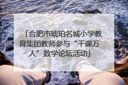 合肥市琥珀名城小学教育集团教师参与“千课万人”数学论坛活动