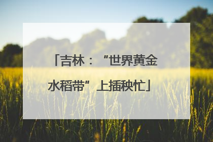 吉林：“世界黄金水稻带”上插秧忙
