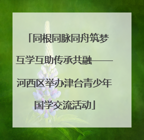同根同脉同舟筑梦 互学互助传承共融——河西区举办津台青少年国学交流活动