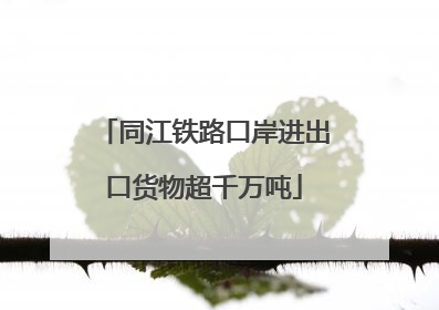 同江铁路口岸进出口货物超千万吨