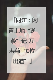 同江：闲置土地“逆袭”记 万寿菊“C位出道”
