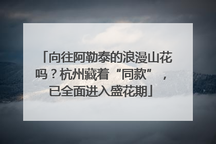 向往阿勒泰的浪漫山花吗？杭州藏着“同款”，已全面进入盛花期