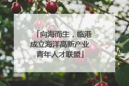向海而生，临港成立海洋高新产业青年人才联盟