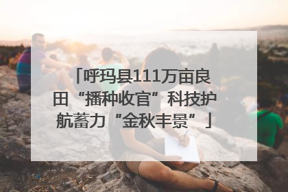 呼玛县111万亩良田“播种收官”科技护航蓄力“金秋丰景”